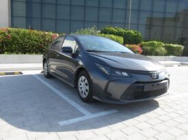 Honda accord 2019 Gray