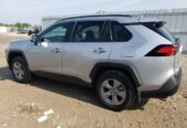 2023 Rav4 XLE